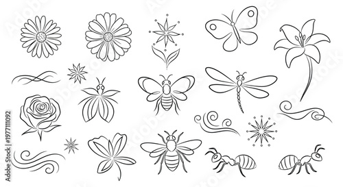 A collection of line drawings of insects and flowers isolated on white background, Vector, illustration