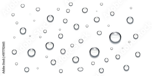 A collection of clear water droplets scattered across a clean white background surface texture