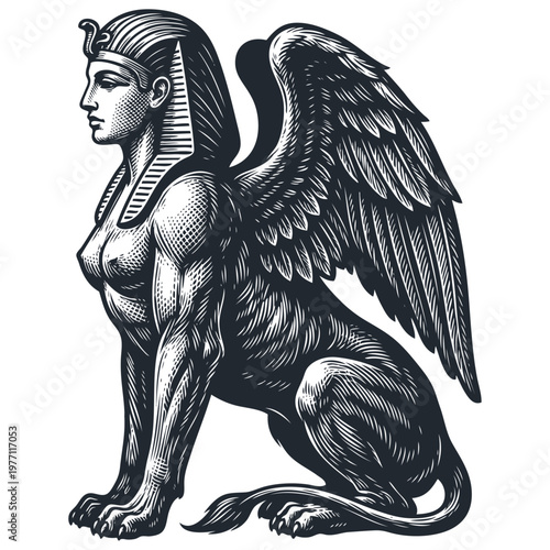 Vector illustration of a powerful sphinx, a mythological creature with a female head, lion body, and wings. Egyptian lore engraving style art.