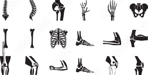 Set of human skeletal bone icons including spine rib cage pelvis arm leg hand and foot anatomy silhouette vector illustrations isolated.