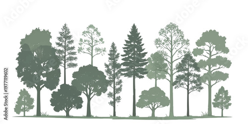 A collection of various tree species illustrated in a flat grey monochromatic silhouette style.