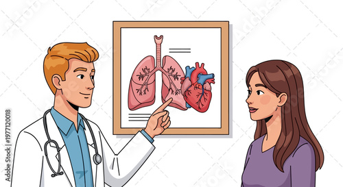 Medical, healthcare, doctor, patient, anatomy, human lungs, illustration, vector graphics, health, wellness, medical education, doctor-patient, lung anatomy, healthcare professional
