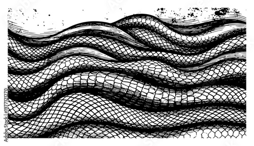 Fotografie Intertwined snake bodies with scale texture in hand drawn sketch style