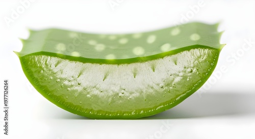 Macro view of a thick, pulpy aloe vera leaf slice revealing its internal texture and layers with soft lighting