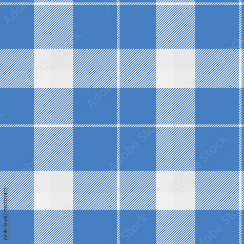 Vichy check vector fabric, horizontal plaid pattern textile. Pride seamless background tartan texture in bright and sterling silver colors.