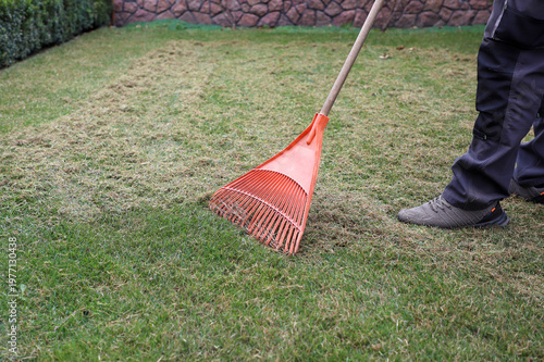 Gardener raking dry grass on the lawn. Selective focus.