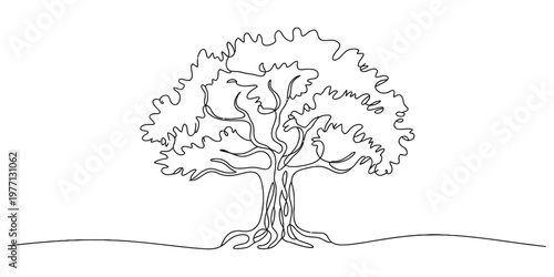 A single continuous line drawing of a majestic oak tree with a wide canopy and sprawling root base