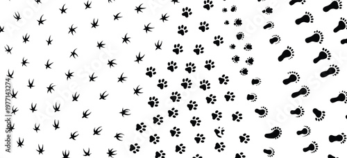 Footprint progression vector set, bird animal human tracks, editable black silhouette graphic, nature themed illustration, walking path icons, wildlife movement design