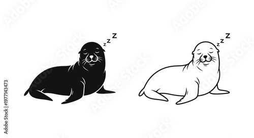Sleeping Seals: Cute Marine Animals Resting Vector