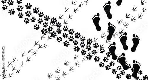 Footprint silhouette vector set, human dog bird tracks, editable black graphic, nature themed illustration, walking path icons, wildlife movement design
