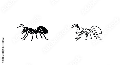 Ant Species Comparison: Worker Ant vs General Ant Illustration Vector
