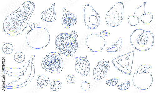 Tropical fruit set with pomegranate, passion fruit, apple, bananas, citrus, berries, avocado, fig, strawberry. Mediterranean blue line art doodle collection for packaging, branding, menus, design