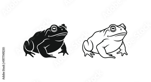 Common Toad vs Frog: Identifying Key Differences Vector