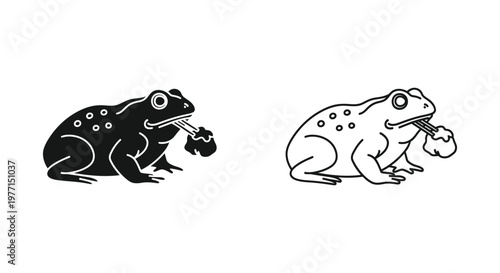 Frog Anatomy Comparison Illustration Vector