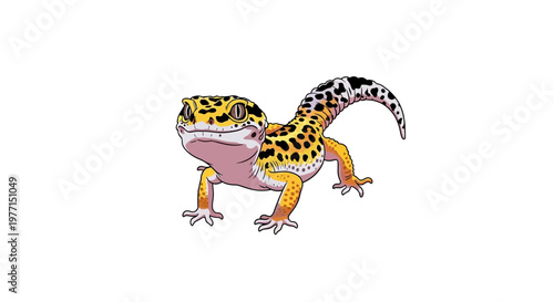 Leopard Gecko Reptile Isolated on White Background