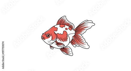Goldfish illustration, red and white patterned fish, isolated on white background