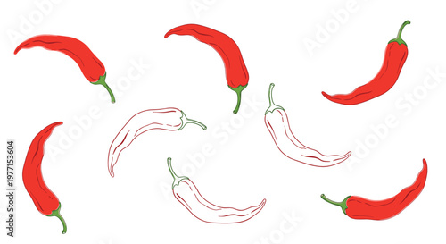 Assortment of red chili peppers and colorless outlines shown in different curved shapes for culinary and spicy food themes.