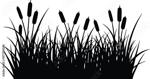 Cattails and tall grass silhouette vector illustration, wetland vegetation design, minimalistic black and white decorative nature artwork