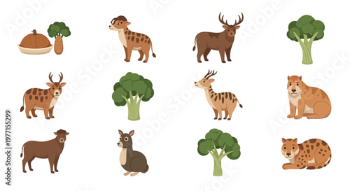 Cartoon animals and broccoli with plate illustrations for educational content