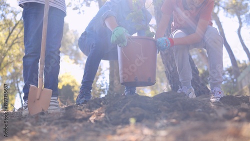Slika na platnu People planting a young tree in a forest, working together on reforestation proj