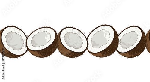 Horizontal border frame featuring a row of six halved coconuts with brown shells and white meat for tropical summer themes.