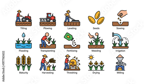 Farming process stages: tilling, sowing, harvesting, and milling illustrations