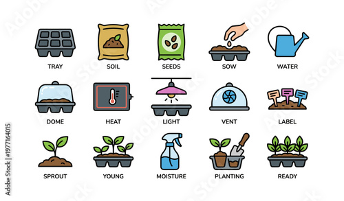 Seed starting essentials: tray, soil, seeds, and growth tools illustrated