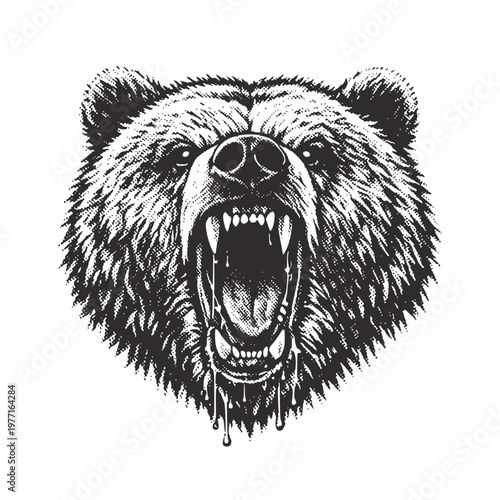 Foto Aggressive Roaring Grizzly Bear Head, Angry Wild Animal Engraving Style