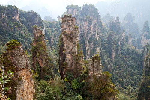 Unique landscape with lush forests dominated by quartzite sandstone pillars, Zhangjiajie National Forest Park, Hunan province, China.