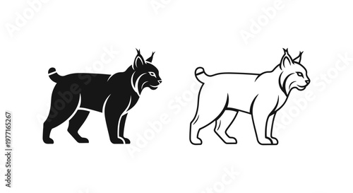 Lynx Silhouette Comparison Guide Vector
