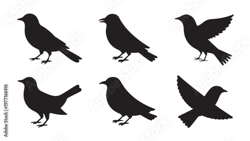Black silhouette of flying birds set