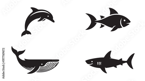 Minimalist black silhouettes of four bird species outline