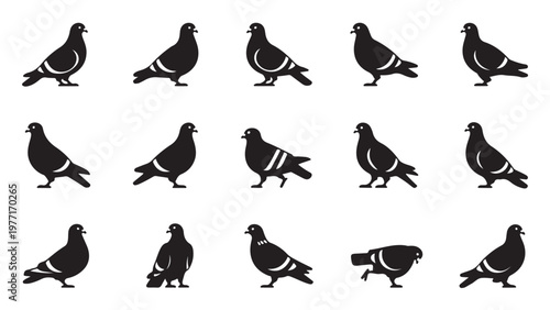Set of fifteen black pigeon silhouette in a grid bird