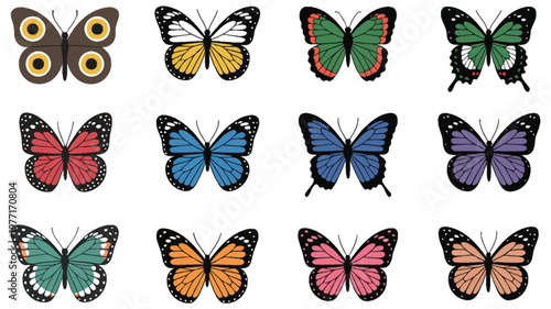 Butterfly species vector collection featuring colorful wings, nature insect illustrations, wildlife entomology elements and detailed butterfly icon set for creative design use