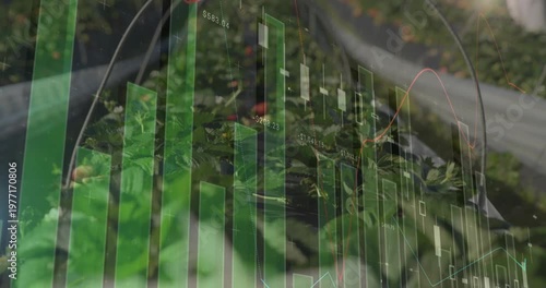 Camera shifting focus while financial overlay animating and revealing wrapped stem in leafy plants