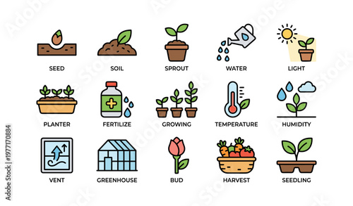 Gardening essentials: seed planting, watering, light, growth stages, and harvest tips