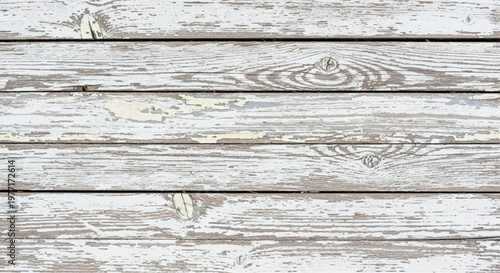 Natural white wood texture. White distressed wooden planks background for design. White distressed wooden planks with peeling paint and grain.