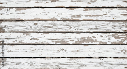 Natural white wood texture. White distressed wooden planks background for design. White distressed wooden planks with peeling paint and grain.