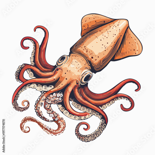 An illustration of a squid swimming in the ocean water with tentacles and fins.