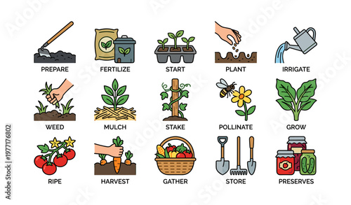 Illustrated steps of gardening and plant care in colorful icons