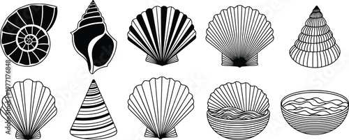 Seashell collection with spiral conch scallop and marine shells hand drawn outline vector illustration set isolated on white background