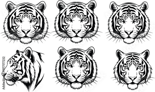Tiger head illustration collection with front and side views detailed hand drawn wild animal sketch vector set isolated on white background