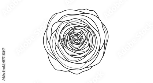 A mesmerizing black line drawing of a blooming flower appears in a simple white environment.