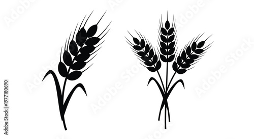 Black silhouette illustration of wheat stalks and grains simple design