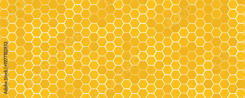 Background of yellow honeycombs. Honeycombs. Vector illustration. Yellow. Background. Honey.