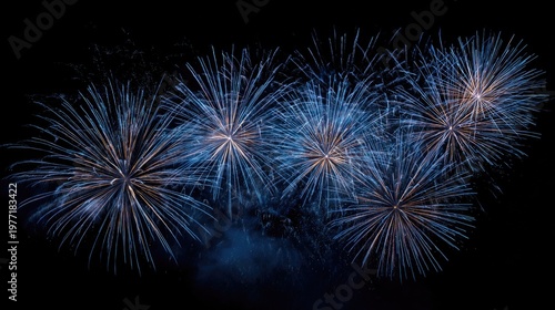 Captivating Blue Fireworks Exploding in the Night Sky Creating a Stunning Visual Display of Color and Light