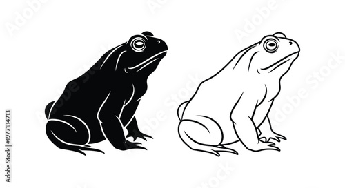Black and White Toad Frog Illustrations Vector Art Vector