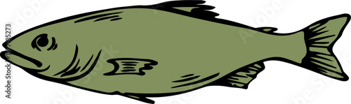 Fresh herring fish hand drawn sketch vector illustration isolated on white