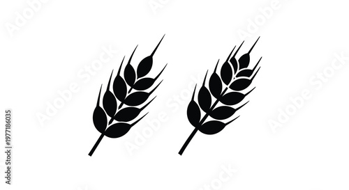 Two black silhouettes of wheat stalks against a white background