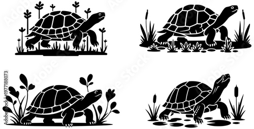 Turtles in their natural habitat with water and plants around